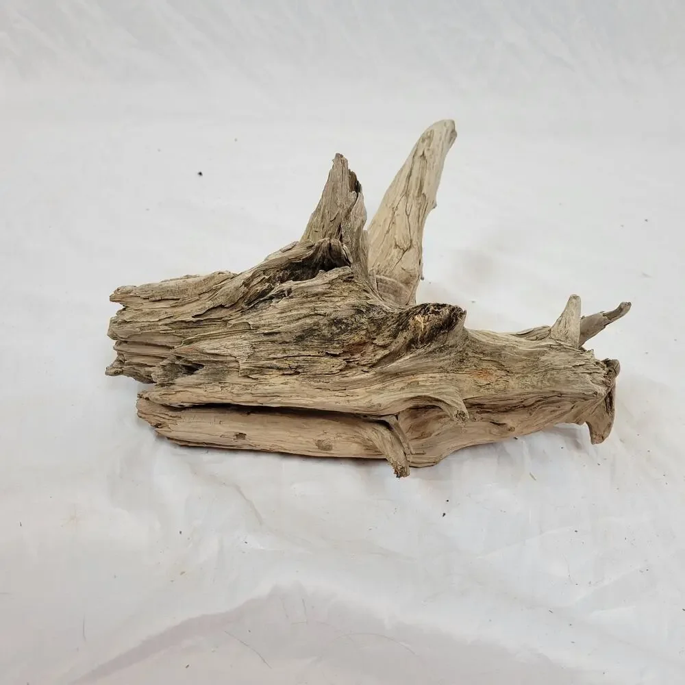 Ohio River Driftwood 13